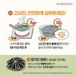 고사리, 안전하게 섭취하세요
