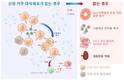 '신장 거주 대식세포', 약물 신장 손상 반응 결정한다