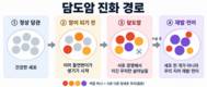 분당서울대 연구팀, 담도암 발생·재발·전이 유전체 진화 경로 규명