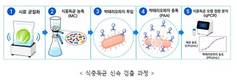 식품연, 생균 선택 검출 기술 개발