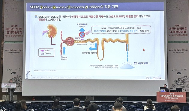 한미 "'다파론패밀리', 동반질환 대응 가능한 맞춤형 SGLT2 억제제"