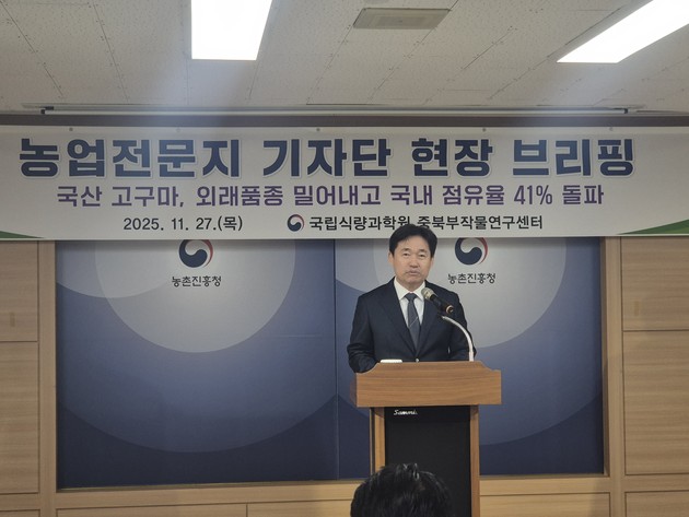 국산 고구마, 국내 점유율 41% 돌파